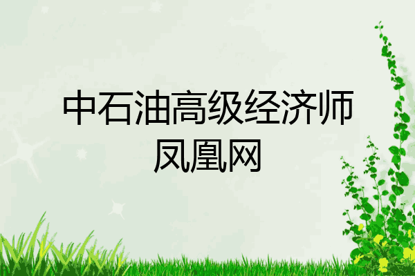 中石油高级经济师凤凰网