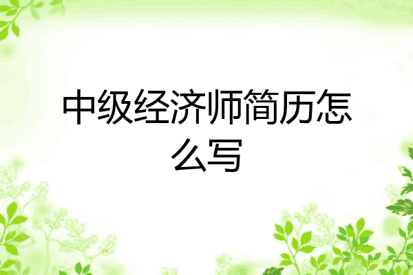 中级经济师简历怎么写