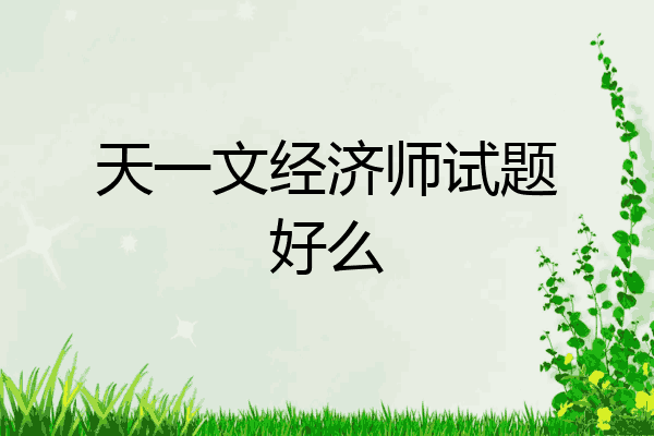 天一文经济师试题好么