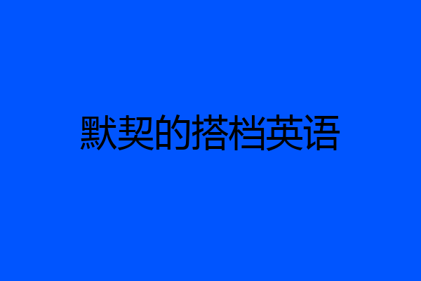 默契的搭档英语