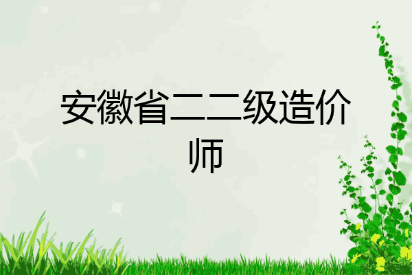 安徽省二二级造价师