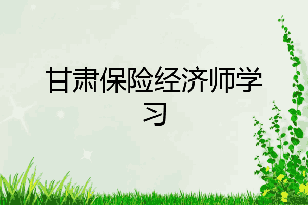 甘肃保险经济师学习