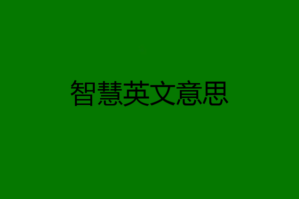 智慧英文意思