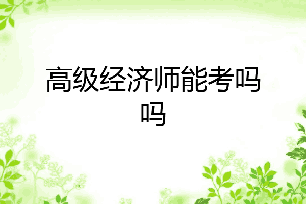 高级经济师能考吗吗
