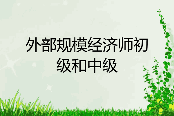 外部规模经济师初级和中级