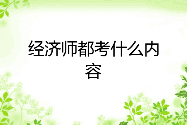 经济师都考什么内容
