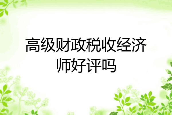 高级财政税收经济师好评吗