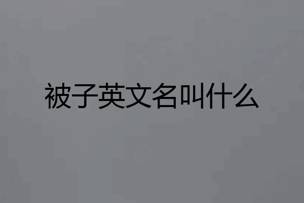 被子英文名叫什么
