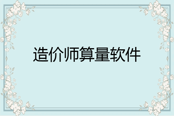 造价师算量软件