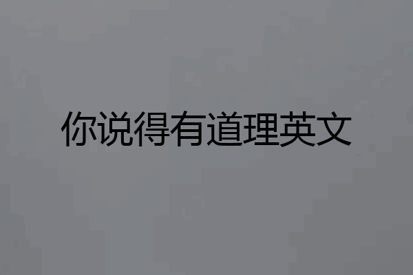 你说得有道理英文
