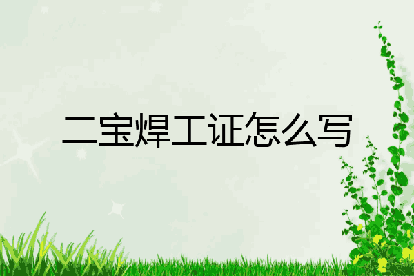 二宝焊工证怎么写