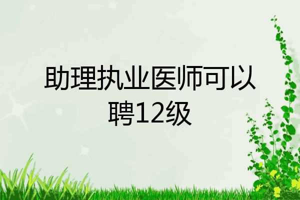 助理执业医师可以聘12级