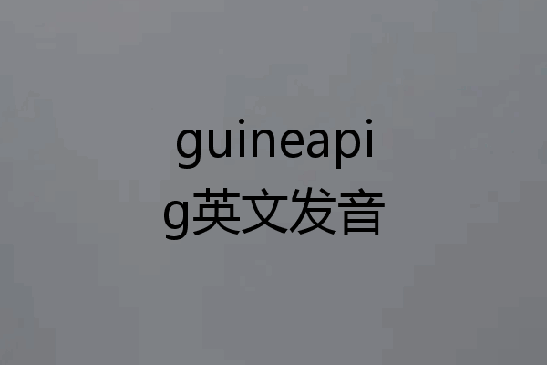 guineapig英文发音