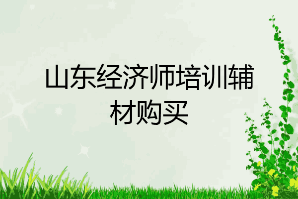 山东经济师培训辅材购买