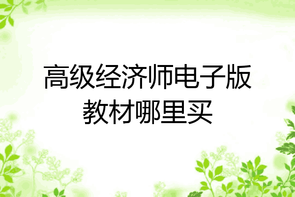 高级经济师电子版教材哪里买