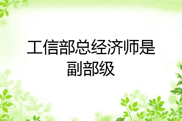 工信部总经济师是副部级