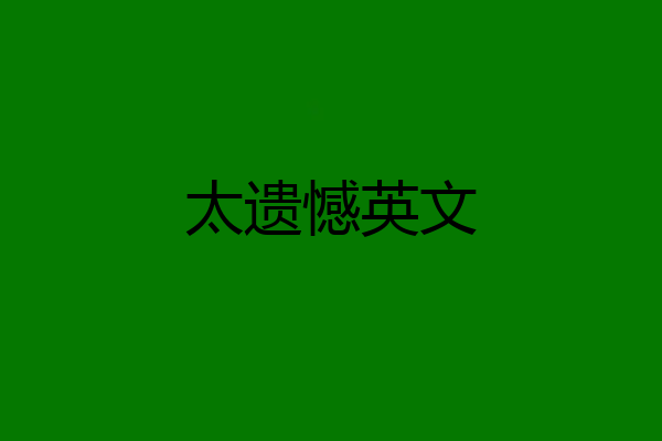 太遗憾英文