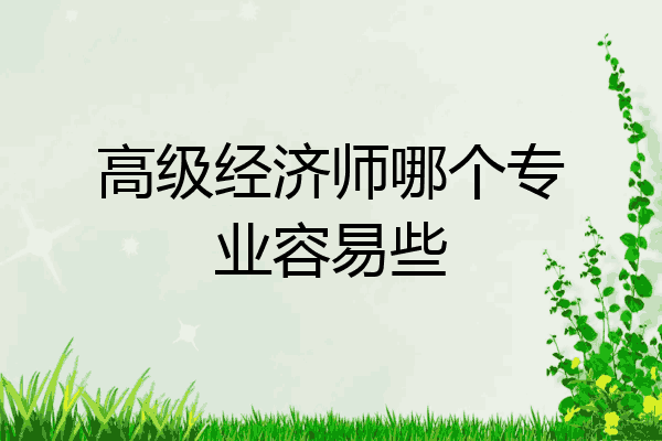 高级经济师哪个专业容易些