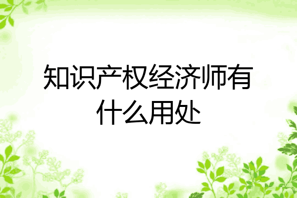 知识产权经济师有什么用处