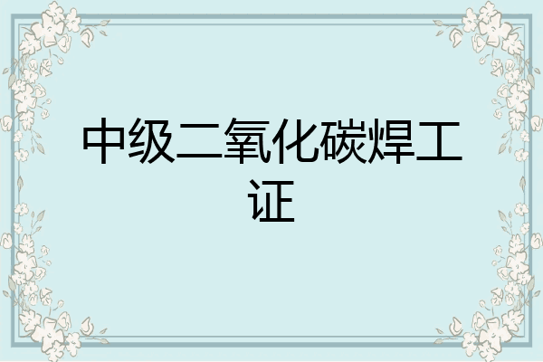 中级二氧化碳焊工证