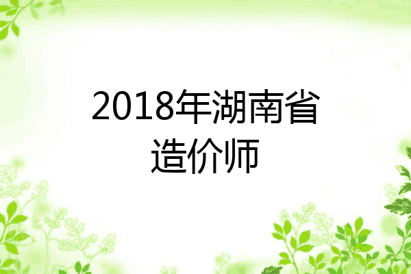 2018年湖南省造价师