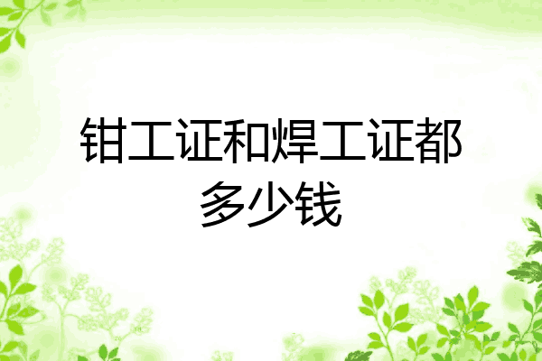 钳工证和焊工证都多少钱