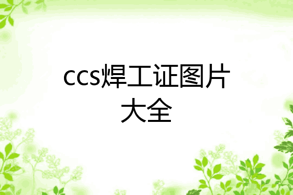 ccs焊工证图片大全