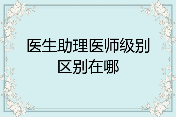 医生助理医师级别区别在哪