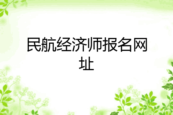 民航经济师报名网址