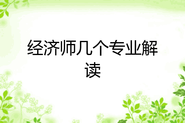 经济师几个专业解读
