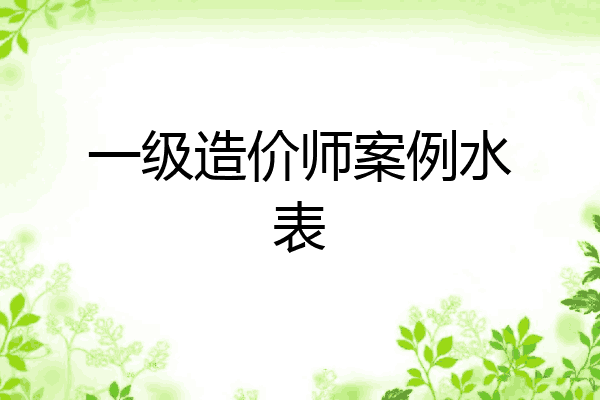 一级造价师案例水表