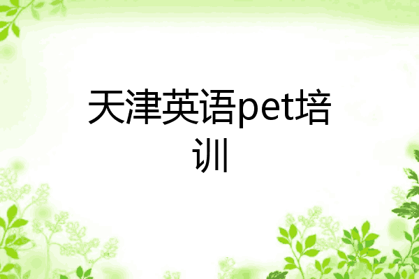 天津英语pet培训
