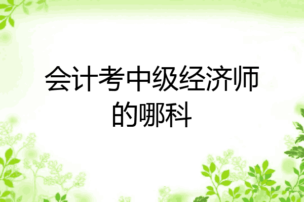 会计考中级经济师的哪科