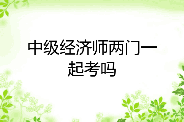 中级经济师两门一起考吗