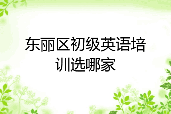 东丽区初级英语培训选哪家