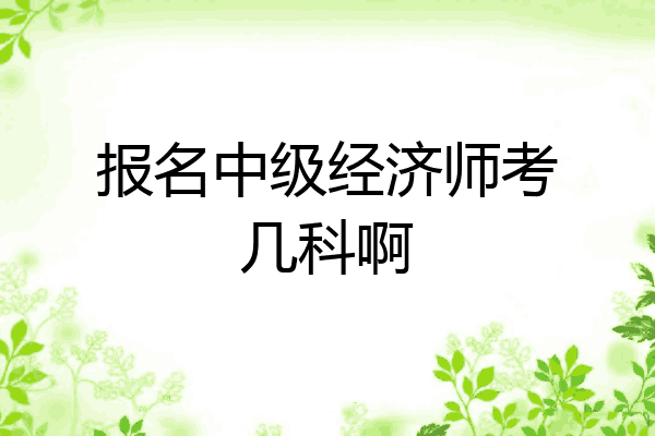 报名中级经济师考几科啊