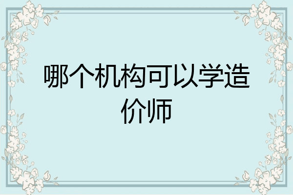 哪个机构可以学造价师