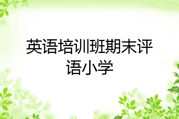 英语培训班期末评语小学