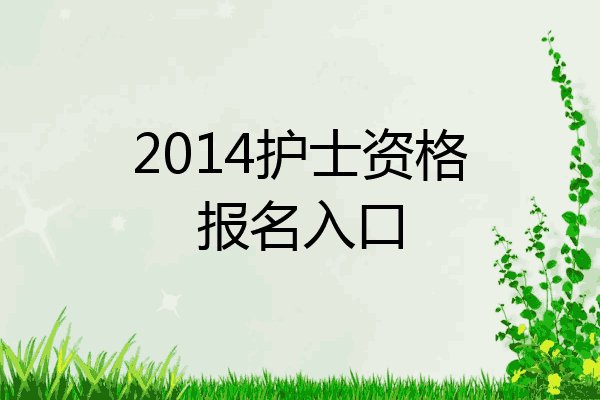 2014护士资格报名入口
