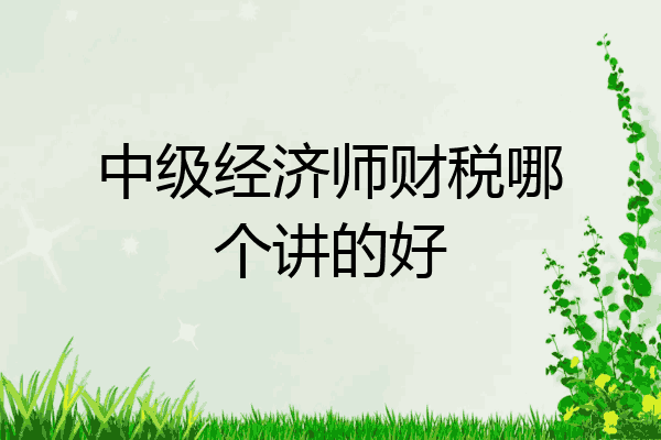 中级经济师财税哪个讲的好
