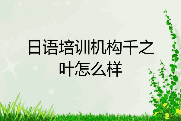 日语培训机构千之叶怎么样