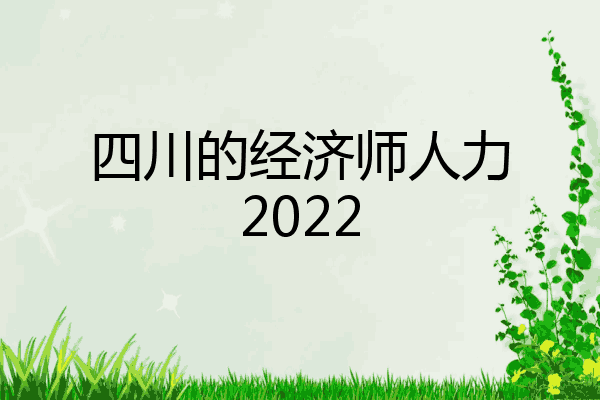 四川的经济师人力2022