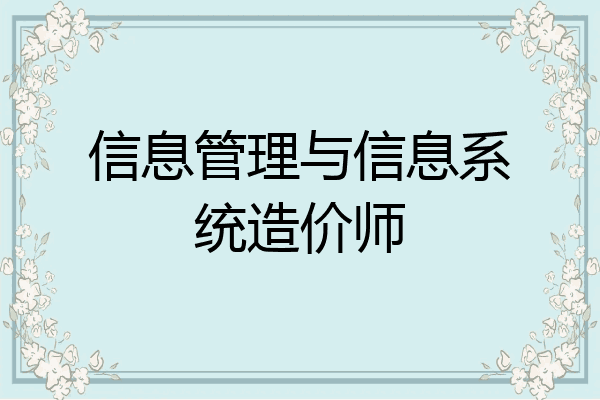 信息管理与信息系统造价师