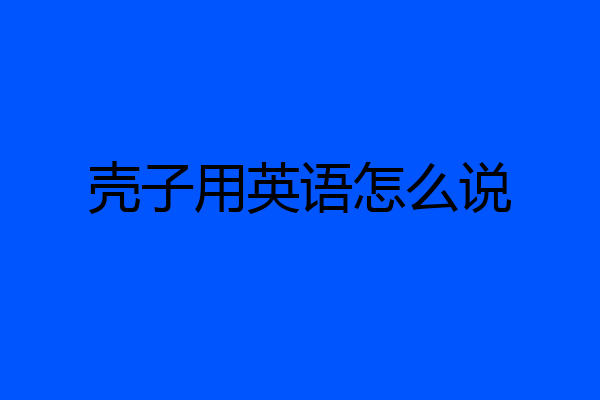 壳子用英语怎么说