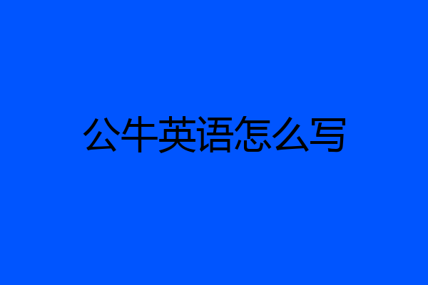 公牛英语怎么写