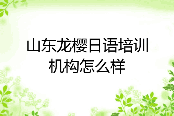 山东龙樱日语培训机构怎么样