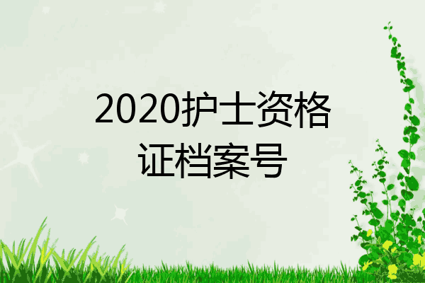2020护士资格证档案号