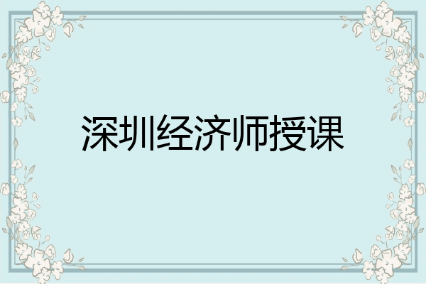 深圳经济师授课