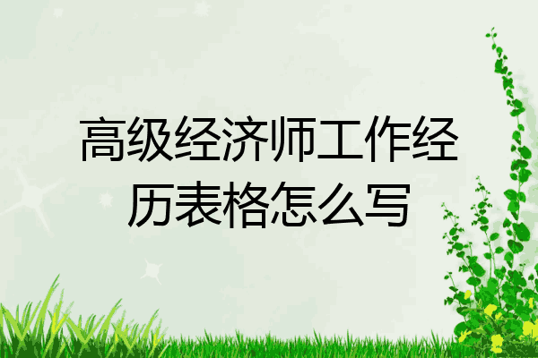 高级经济师工作经历表格怎么写