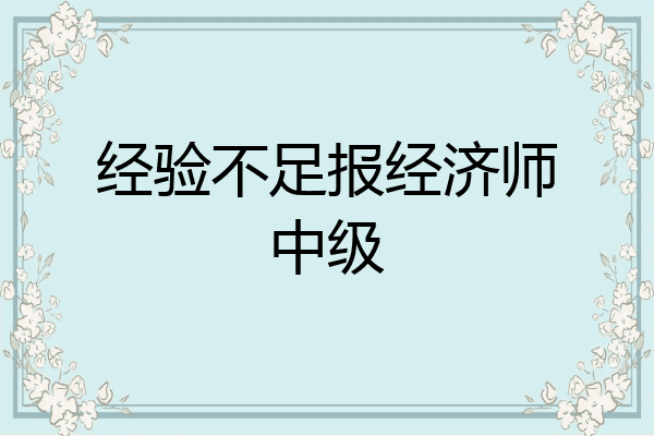 经验不足报经济师中级
